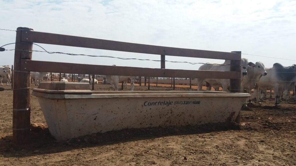 Bebedouro 1750L