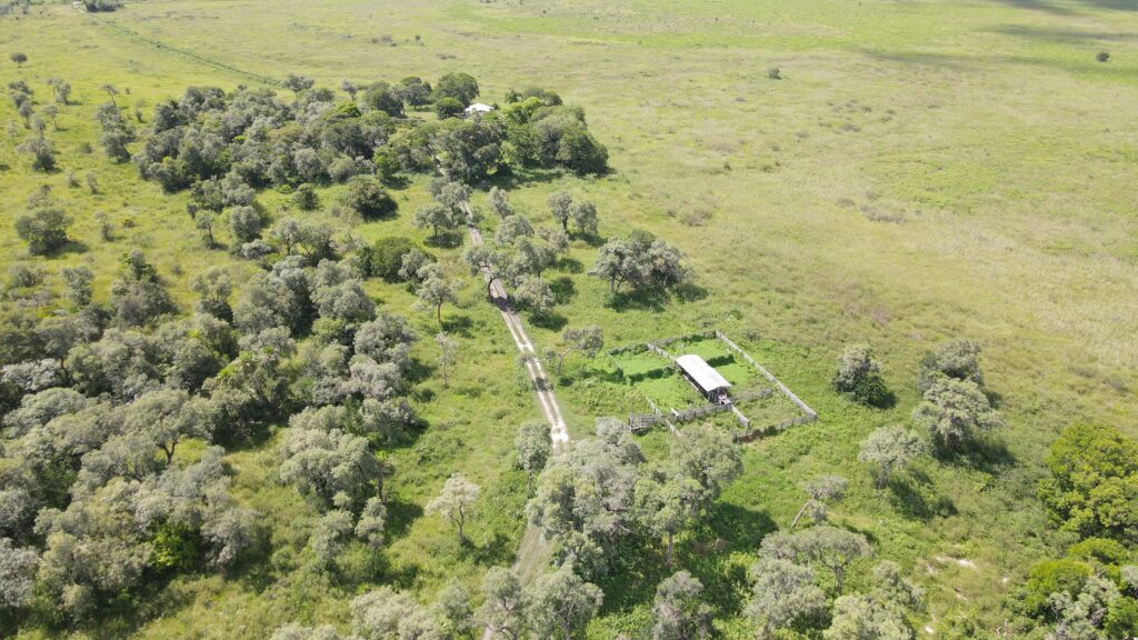 Ponte Pantanal – Vaz Relógio